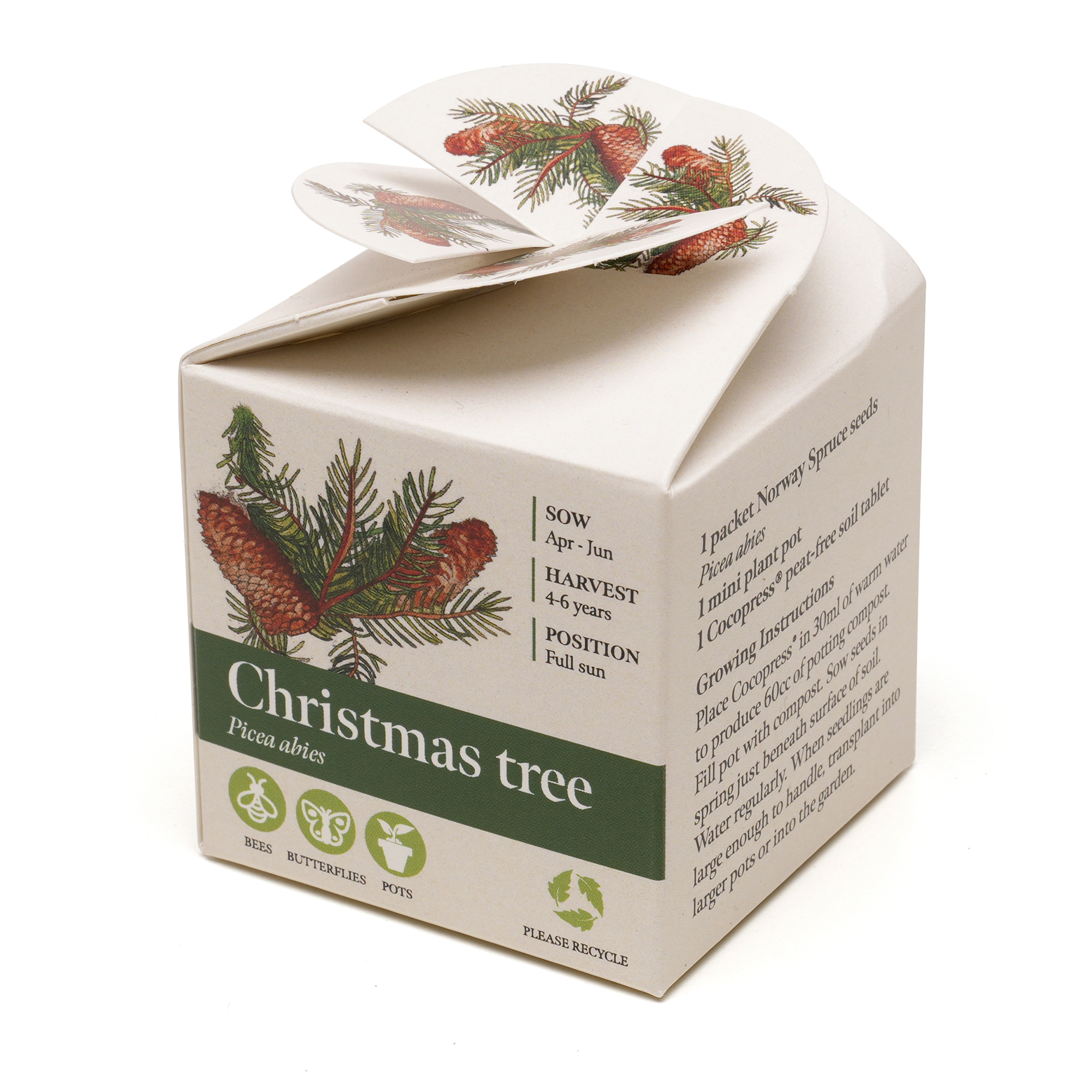 Mini Box Seed Kit