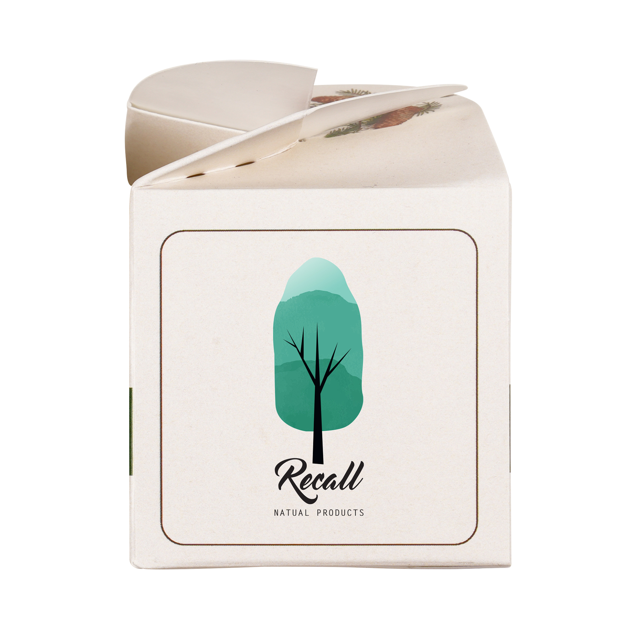 Mini Box Seed Kit