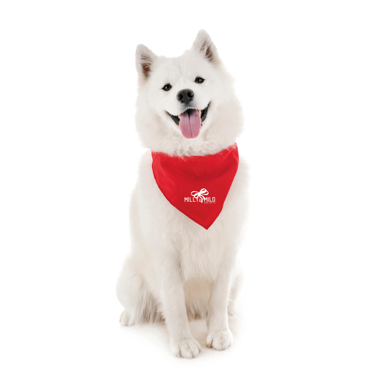 Pet Bandana Small