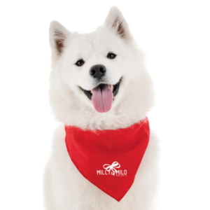 Pet Bandana Small
