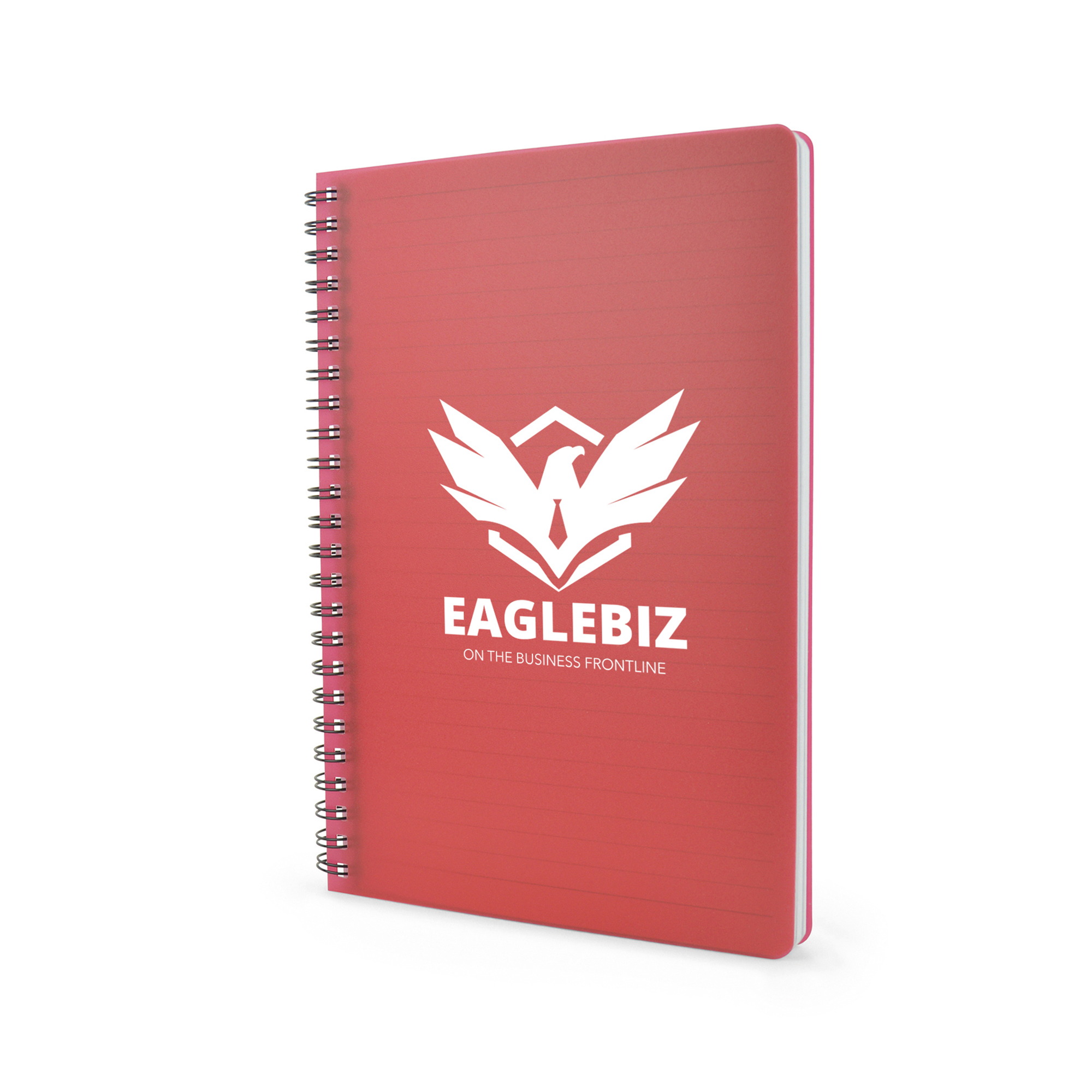A5 Reynolds Notebook