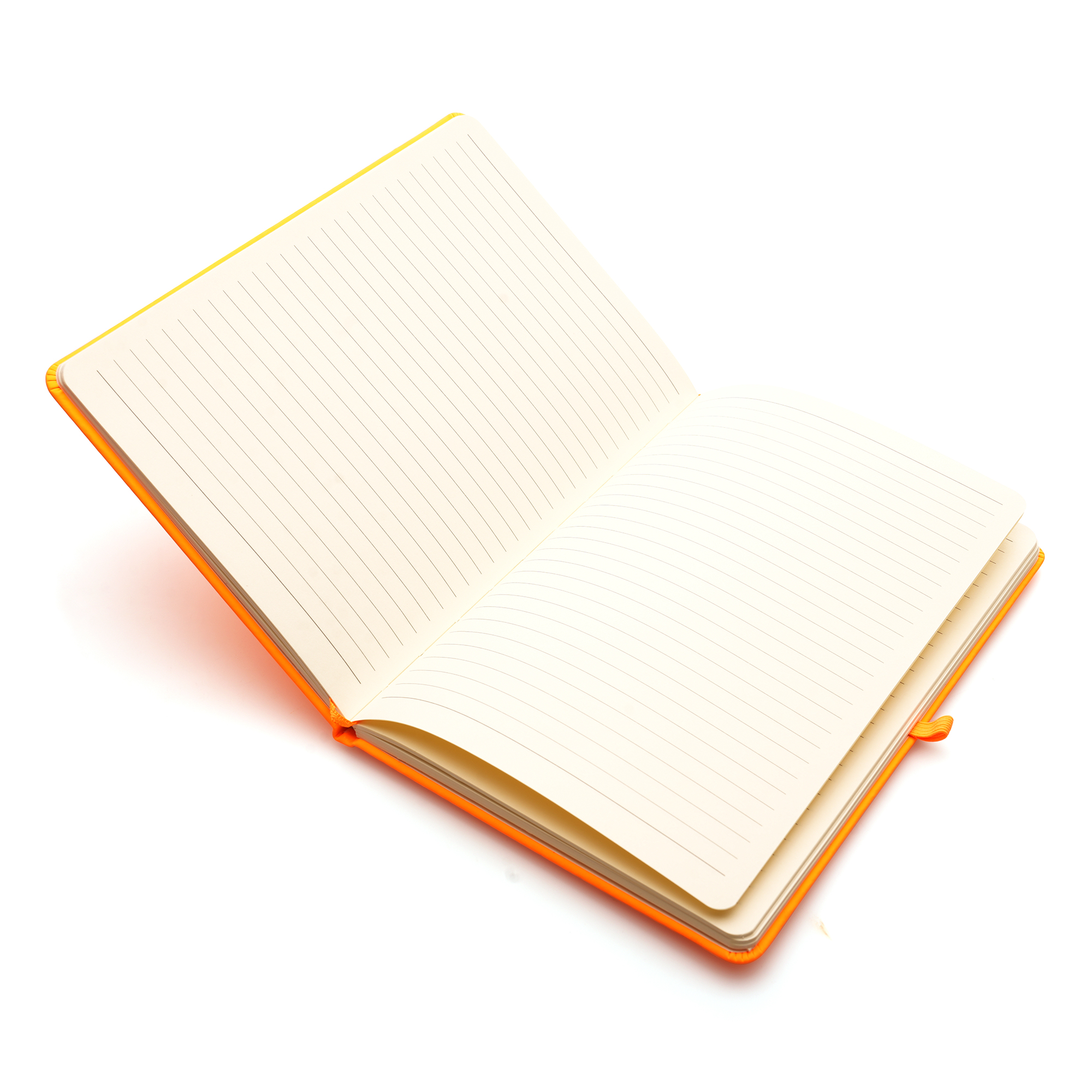 A5 Neon Mole Notebook