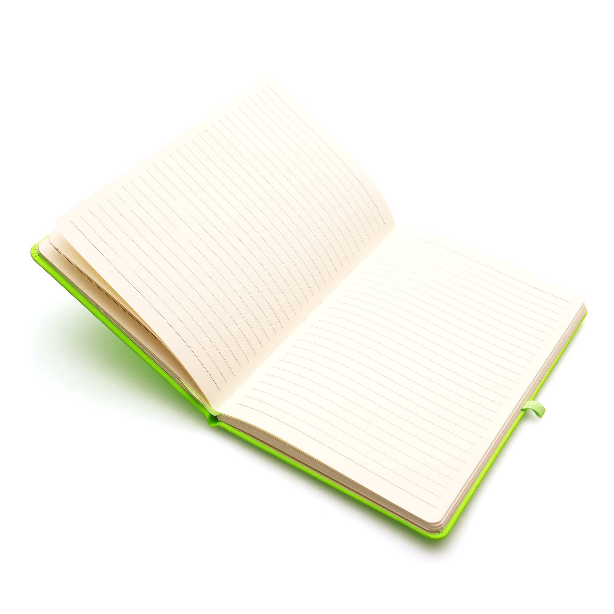 A5 Neon Mole Notebook