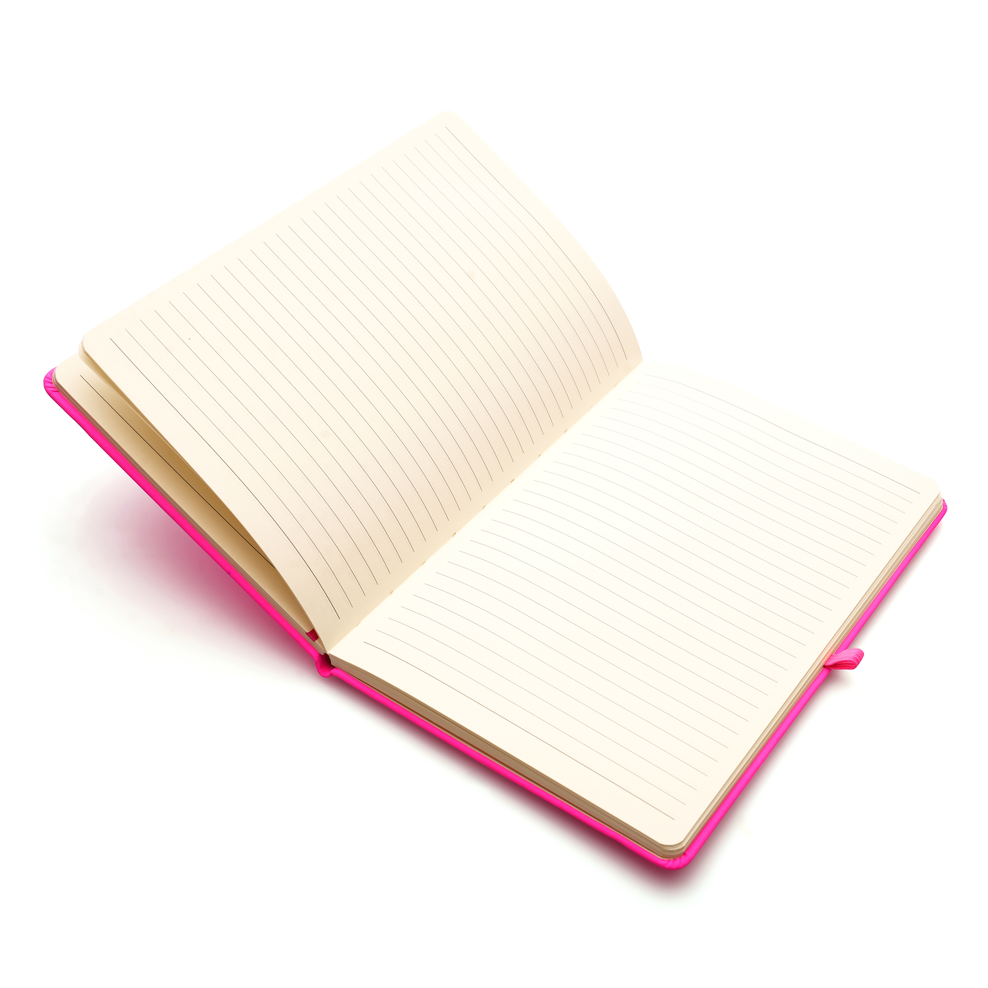 A5 Neon Mole Notebook