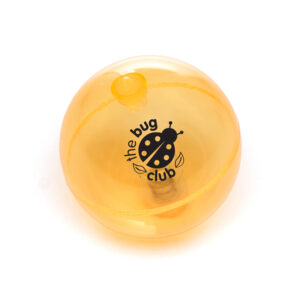 LED Light Up Bouncy Ball