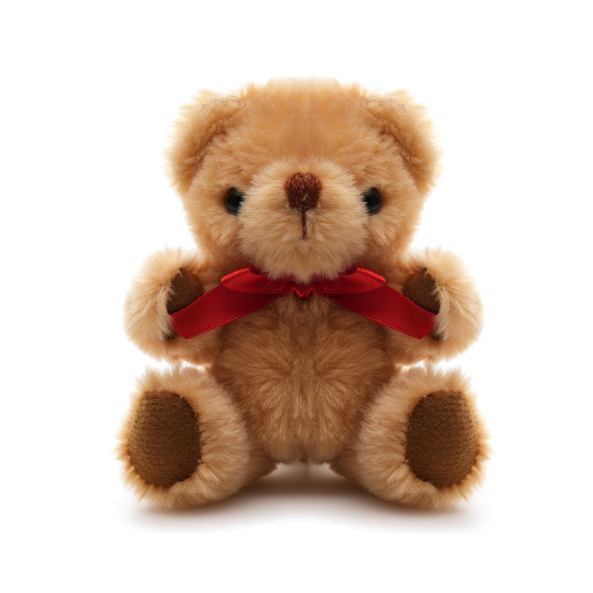 Small Jointed Teddy