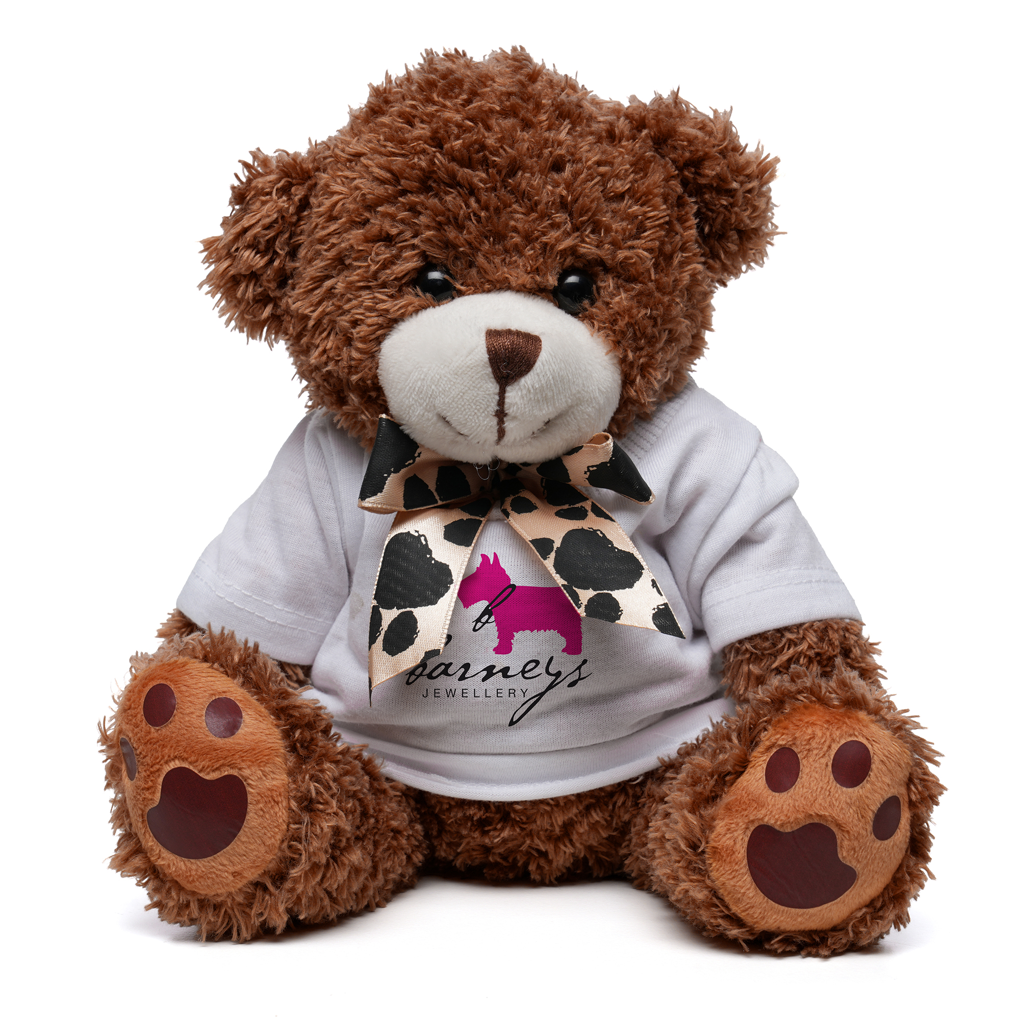 Medium Paw Teddy