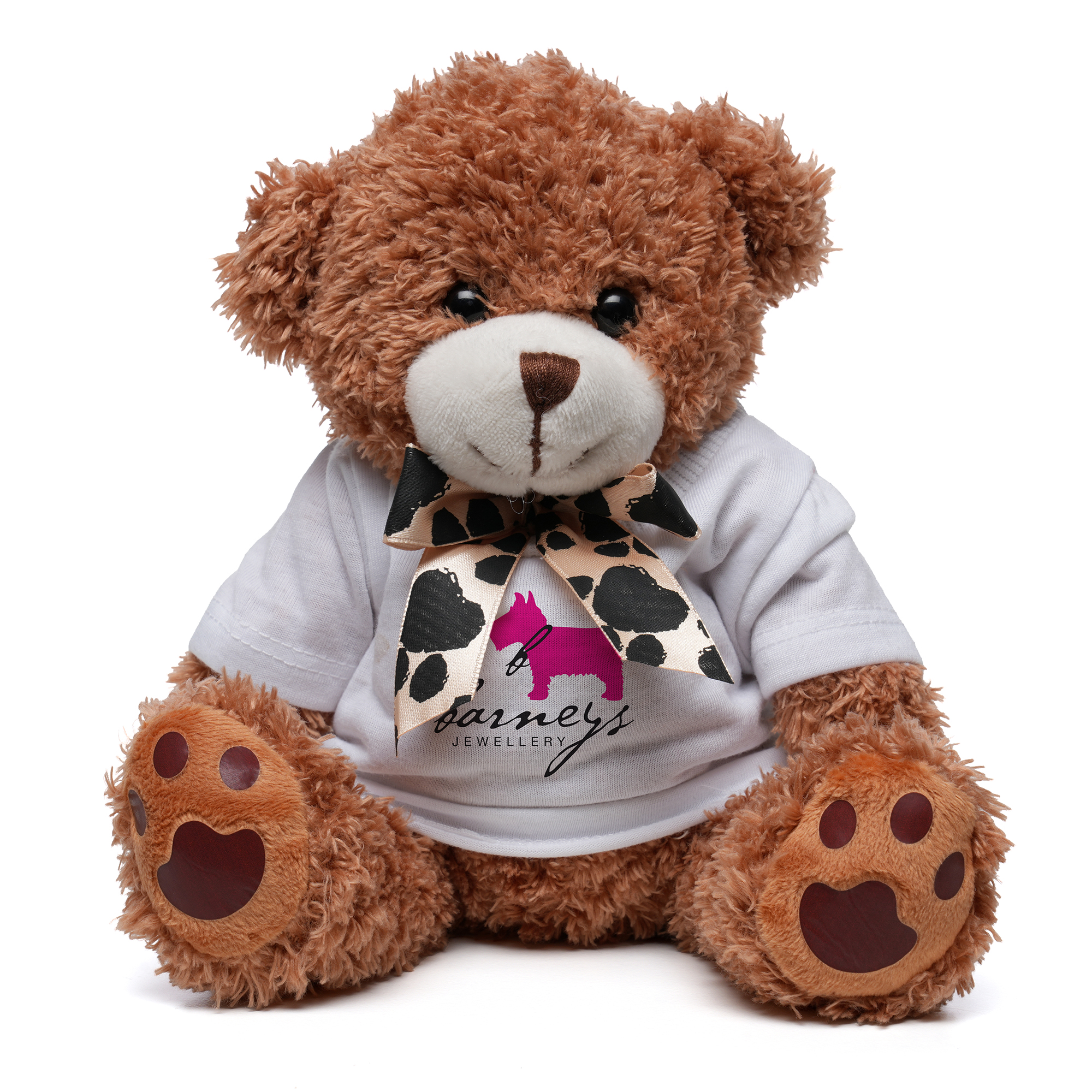 Medium Paw Teddy