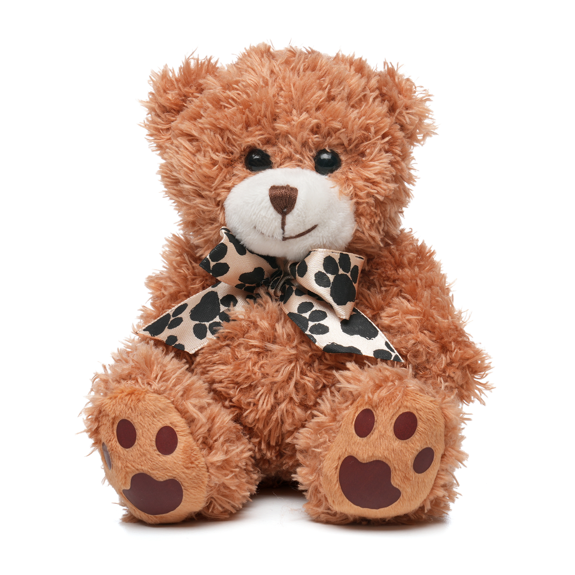 Medium Paw Teddy