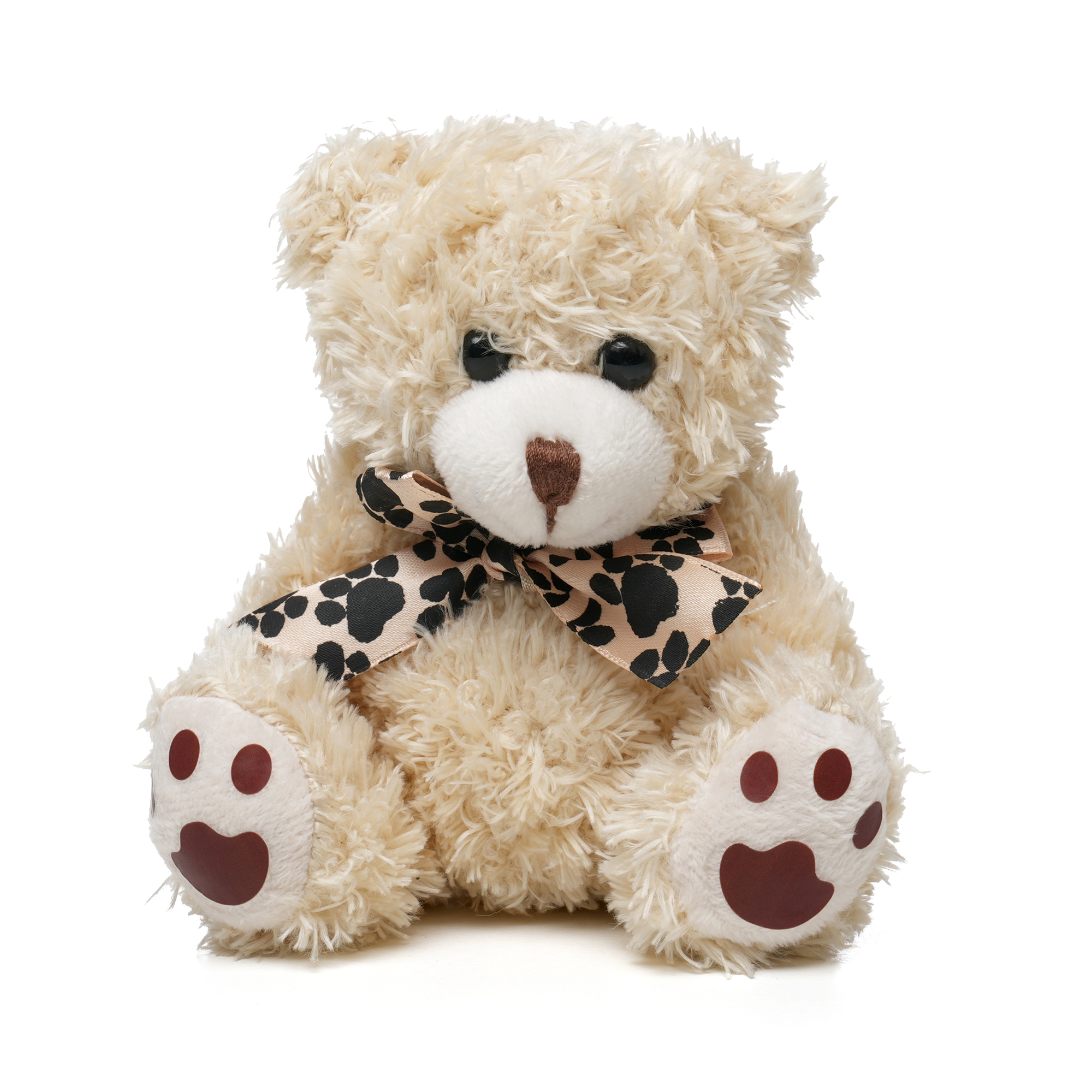 Medium Paw Teddy